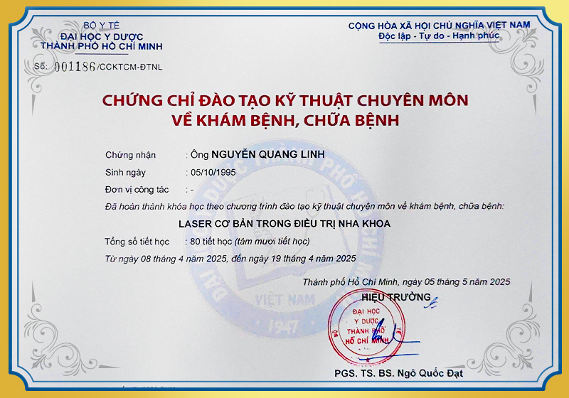 NGUYEN QUANG LINH