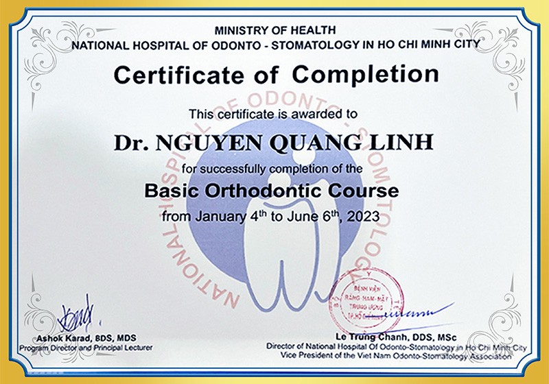 NGUYEN QUANG LINH
